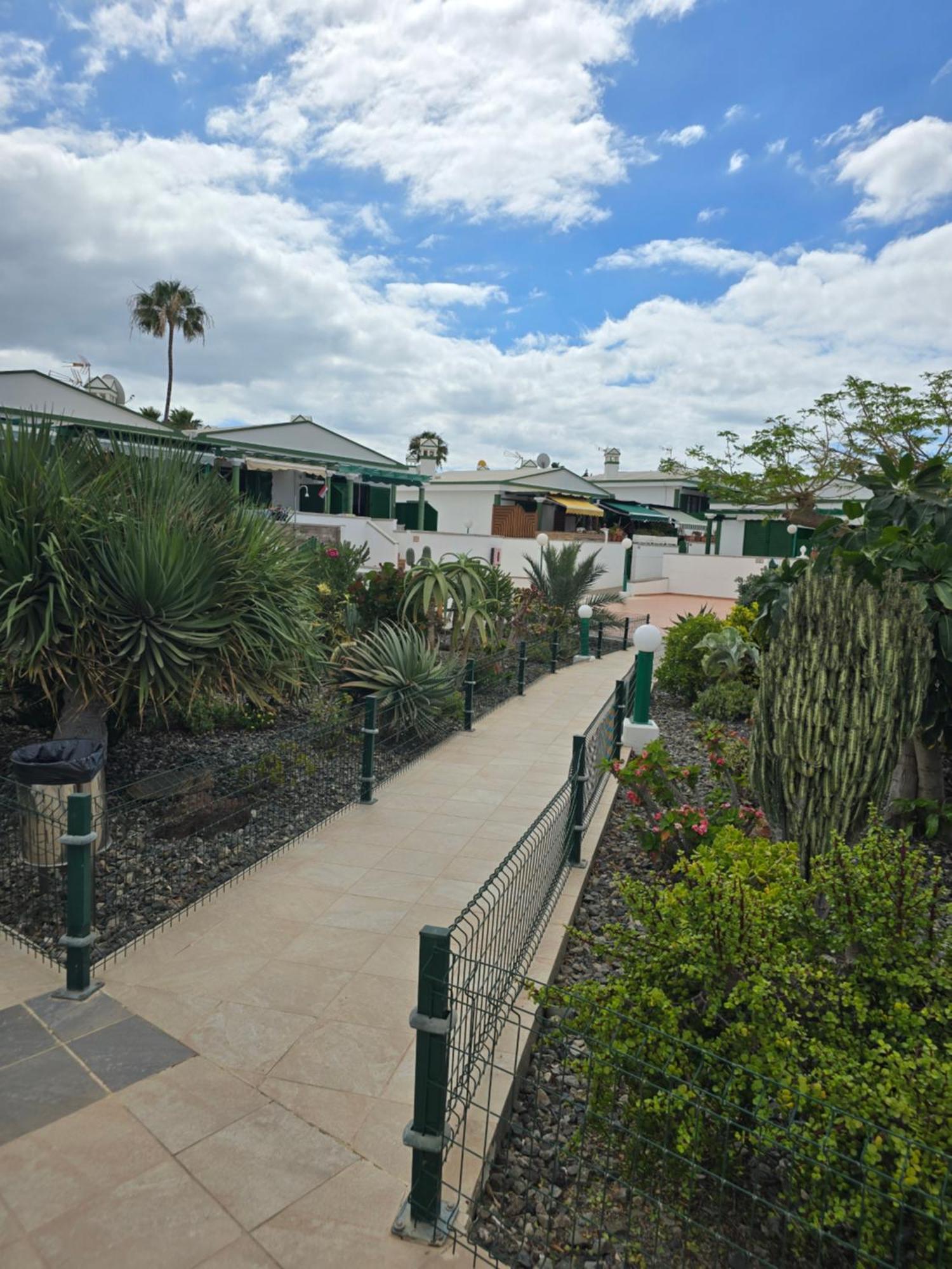 The Sunflower Maspalomas  Bagian luar foto