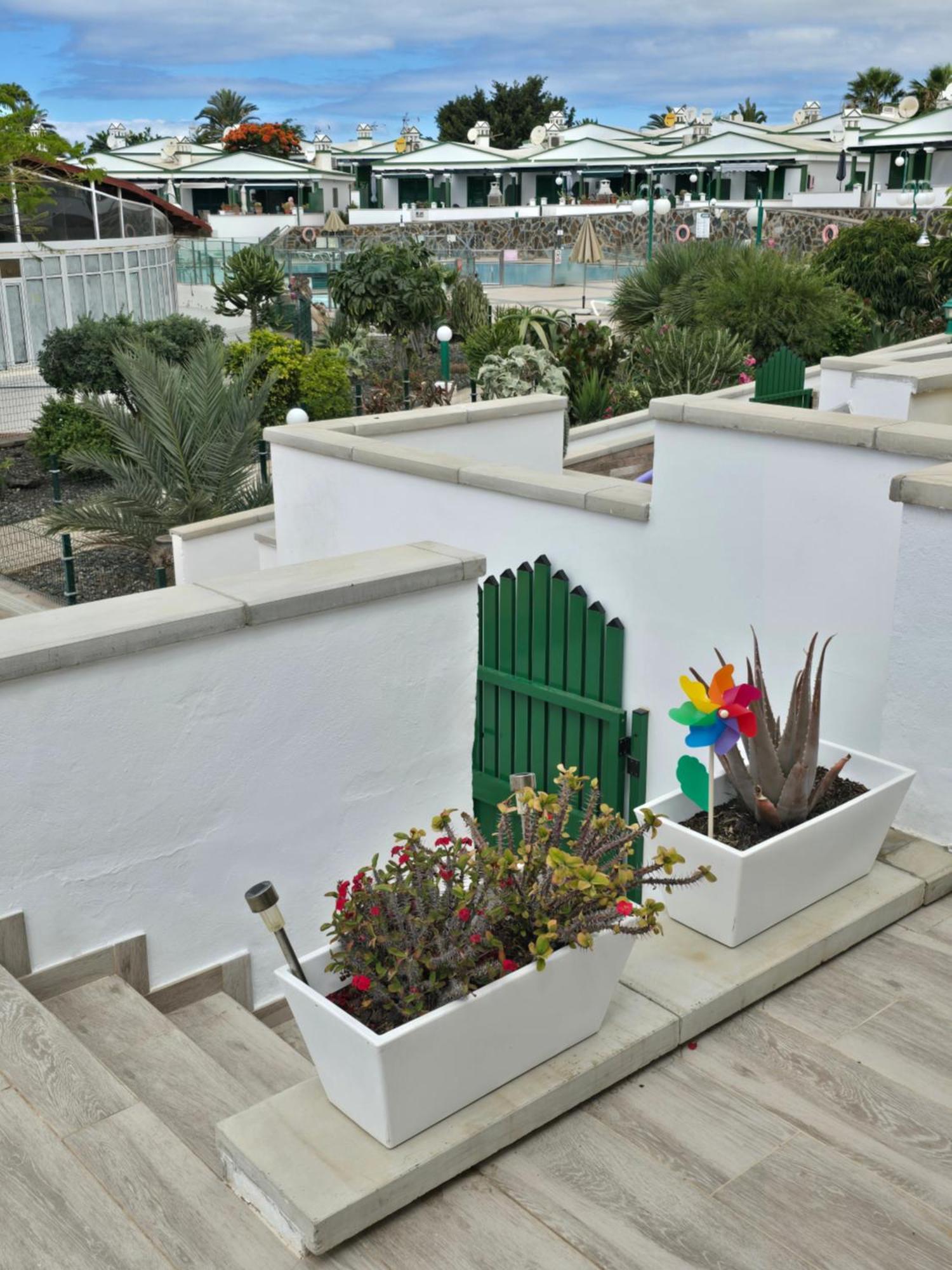 The Sunflower Maspalomas  Bagian luar foto